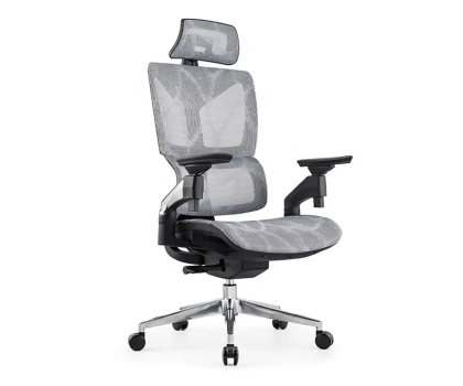 Fotel ergonomiczny Spacetronik Hilde Mesh 4D Szary